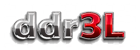 ddr3l logo